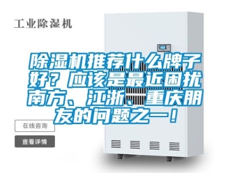 行業(yè)新聞除濕機推薦什么牌子好？應(yīng)該是最近困擾南方、江浙、重慶朋友的問題之一！