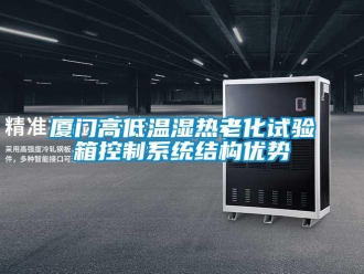 常見問題廈門高低溫濕熱老化試驗(yàn)箱控制系統(tǒng)結(jié)構(gòu)優(yōu)勢