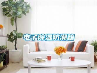常見問題電子除濕防潮箱