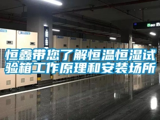 知識百科恒鑫帶您了解恒溫恒濕試驗箱工作原理和安裝場所