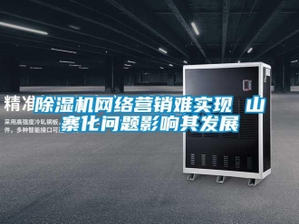 常見問題除濕機網(wǎng)絡營銷難實現(xiàn) 山寨化問題影響其發(fā)展