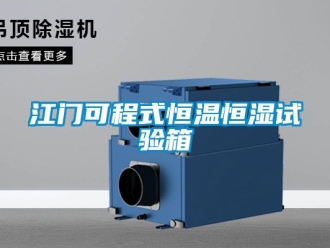 知識百科江門可程式恒溫恒濕試驗箱