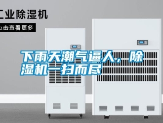 知識百科下雨天潮氣逼人，除濕機一掃而盡