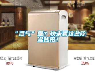 常見問題“濕氣”重？快來看這些除濕妙招！