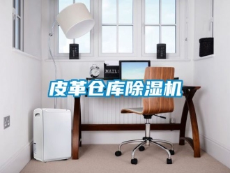 企業(yè)新聞皮革倉(cāng)庫(kù)除濕機(jī)