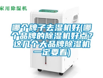 企業新聞哪個牌子去濕機好(哪個品牌的除濕機好點？這幾個大品牌除濕機一定要看)