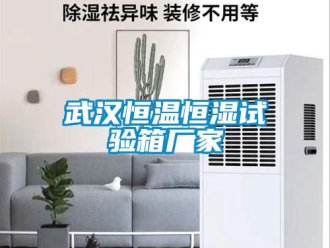 知識百科武漢恒溫恒濕試驗箱廠家