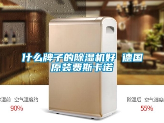 行業(yè)新聞什么牌子的除濕機好 德國原裝費斯卡諾