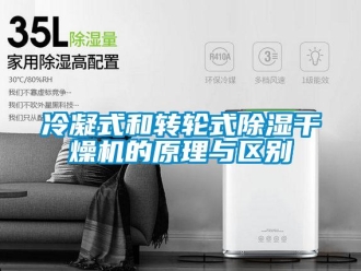 行業新聞冷凝式和轉輪式除濕干燥機的原理與區別