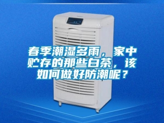 常見問題春季潮濕多雨，家中貯存的那些白茶，該如何做好防潮呢？