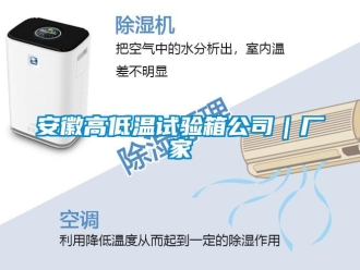 常見問題安徽高低溫試驗箱公司｜廠家