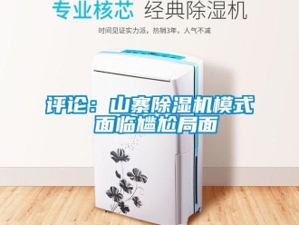 行業新聞評論：山寨除濕機模式 面臨尷尬局面
