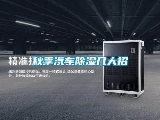 行業(yè)新聞秋季汽車除濕幾大招