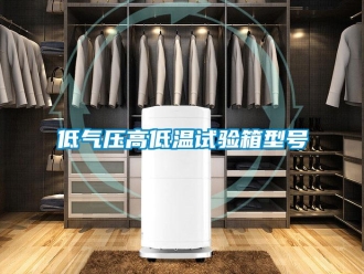 常見問題低氣壓高低溫試驗(yàn)箱型號