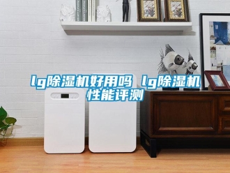 企業新聞lg除濕機好用嗎 lg除濕機性能評測