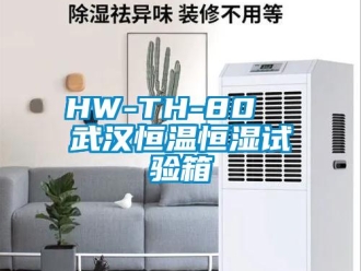 常見問題HW-TH-80  武漢恒溫恒濕試驗(yàn)箱