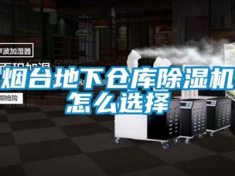 企業(yè)新聞煙臺地下倉庫除濕機(jī)怎么選擇