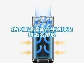 行業(yè)新聞地下室除濕機產(chǎn)生的冷凝水怎么排放