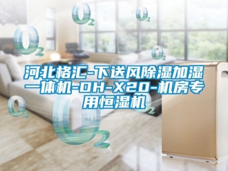 知識百科河北格匯-下送風除濕加濕一體機-DH-X20-機房專用恒濕機