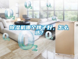常見問題除濕機哪個牌子好，怎么選？