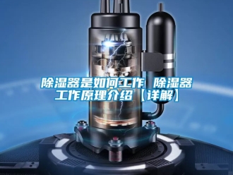 行業(yè)新聞除濕器是如何工作 除濕器工作原理介紹【詳解】