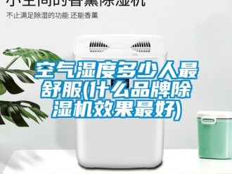 企業(yè)新聞空氣濕度多少人最舒服(什么品牌除濕機(jī)效果最好)
