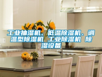 常見問題工業抽濕機、低溫除濕機、調溫型除濕機 工業除濕機 除濕設備