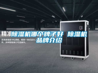 企業(yè)新聞除濕機(jī)哪個(gè)牌子好 除濕機(jī)品牌介紹