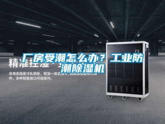 常見問題廠房受潮怎么辦？工業防潮除濕機
