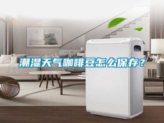 常見(jiàn)問(wèn)題潮濕天氣咖啡豆怎么保存？