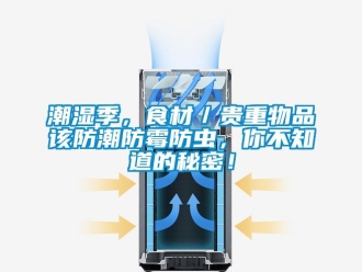 企業新聞潮濕季，食材／貴重物品該防潮防霉防蟲，你不知道的秘密！
