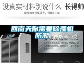 行業新聞回南天你需要除濕機防潮