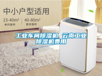 常見問(wèn)題工業(yè)車間除濕機(jī) 云南工業(yè)除濕機(jī)費(fèi)用