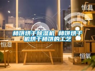 行業(yè)新聞柿餅烘干除濕機 柿餅烘干機烘干柿餅的工藝