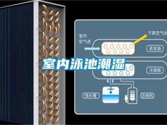 知識百科室內泳池潮濕