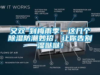 常見問題又雙叒到梅雨季，這幾個(gè)除濕防潮妙招，讓你告別濕噠噠！