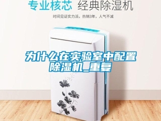 行業(yè)新聞為什么在實驗室中配置除濕機_重復(fù)