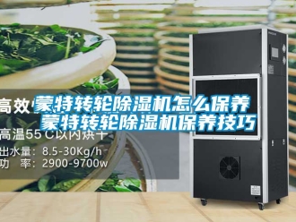 常見問題蒙特轉(zhuǎn)輪除濕機(jī)怎么保養(yǎng) 蒙特轉(zhuǎn)輪除濕機(jī)保養(yǎng)技巧