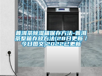 企業新聞普洱茶除濕箱保存方法-普洱茶整箱存放方法(28日更新／今日圖文)2022已更新