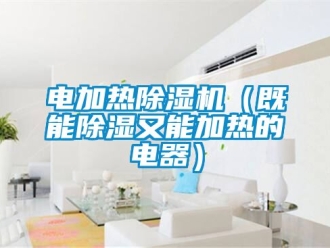 行業(yè)新聞電加熱除濕機(jī)（既能除濕又能加熱的電器）