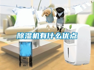 行業(yè)新聞除濕機有什么優(yōu)點