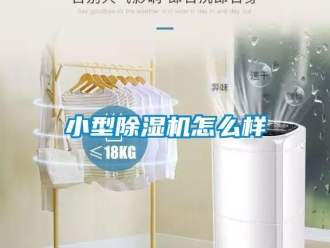 行業新聞小型除濕機怎么樣