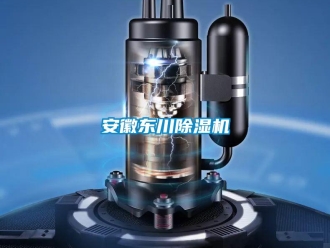 企業(yè)新聞安徽東川除濕機(jī)