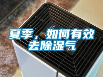 常見問題夏季，如何有效去除濕氣