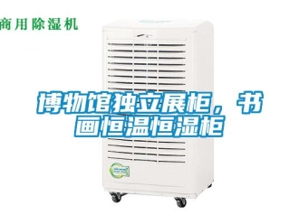 常見問題博物館獨立展柜，書畫恒溫恒濕柜