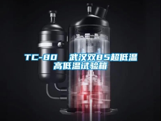 常見問題TC-80  武漢雙85超低溫高低溫試驗箱