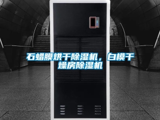 行業(yè)新聞石蠟?zāi)ず娓沙凉駲C(jī)，白模干燥房除濕機(jī)
