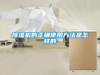 企業新聞除濕機的正確使用方法是怎樣的