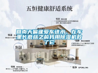 行業新聞回南天偏逢愛車進水，在車里長蘑菇之前我用除濕機救了它