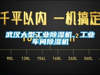 常見問題武漢大型工業除濕機，工業車間除濕機